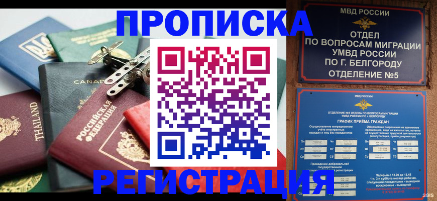 временная регистрация недорого в Завитинске